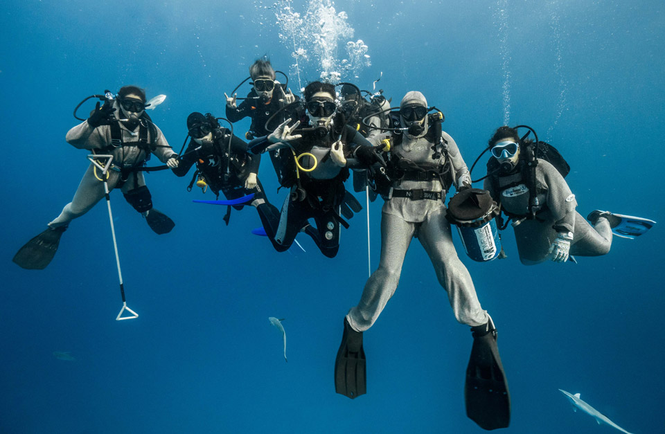 the only all female shark attractor team in the Riviera Maya