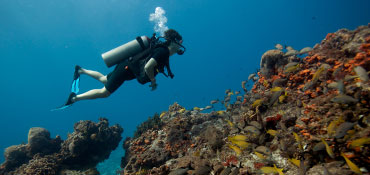 discover scuba diving