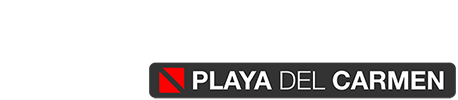 Dive Mike logo